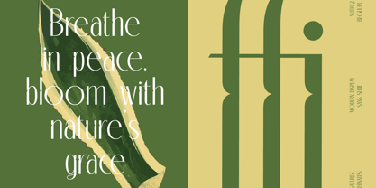 Classic Makore Font Poster 7