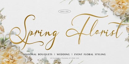 Centtriya Font Poster 2