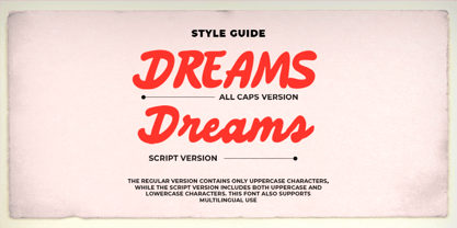 Darkey Font Poster 8