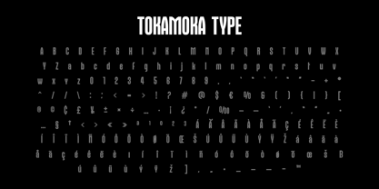 Tokamoka Display Font Poster 6