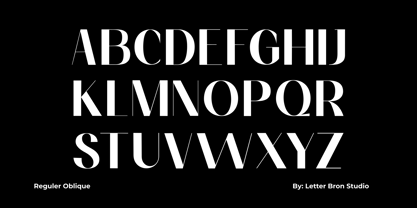 Domisilla Font Poster 4