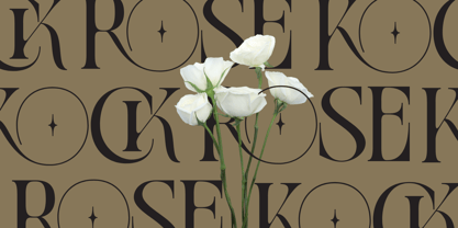Moshra Font Poster 6