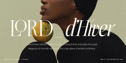 SLTF The Elfkin Editorial Font Poster 2