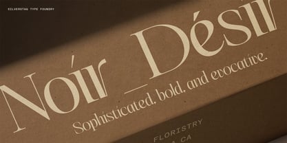 SLTF The Elfkin Editorial Font Poster 8