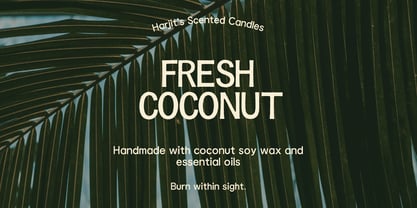 Sunquake Font Poster 4