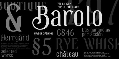 Black Spot Font Poster 3