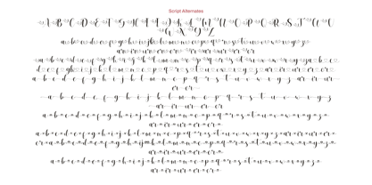 Rachel Laura Font Poster 9