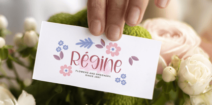 Rachel Laura Font Poster 3