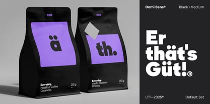 Domi Font Poster 12