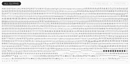 TT Firs Neue Font Poster 10