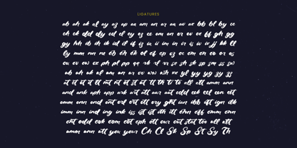 Drink South Font Poster 9