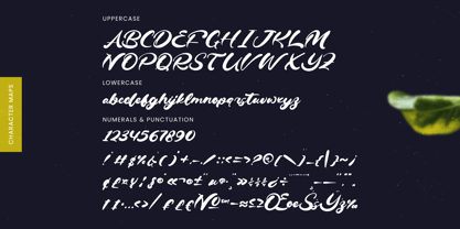 Drink South Font Poster 14