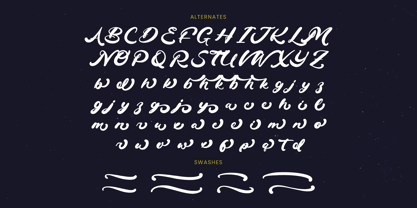 Drink South Font Poster 15