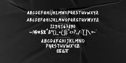 Sertter Brush Font Poster 6
