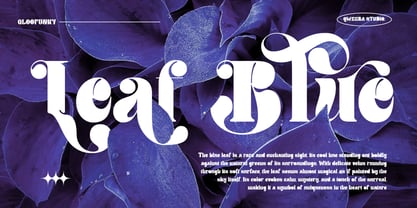 Gloofunky Font Poster 6