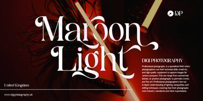 Classic Vogue Font Poster 2