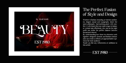 Classic Vogue Font Poster 9