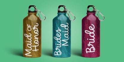 Salty Dish Font Poster 7