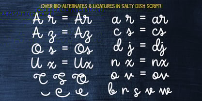 Salty Dish Font Poster 3