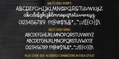 Salty Dish Font Poster 2