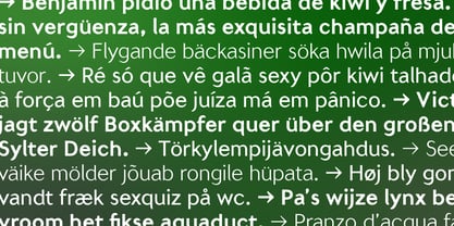 Pinesong Sans Font Poster 3