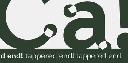 Pinesong Sans Font Poster 5