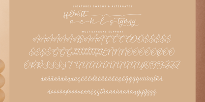 Amorfa Brimos Font Poster 13