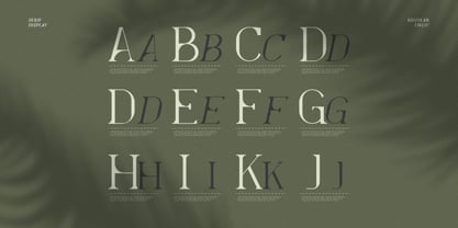 Levelly Font Poster 5