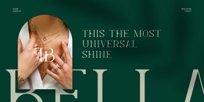 Levelly Font Poster 3