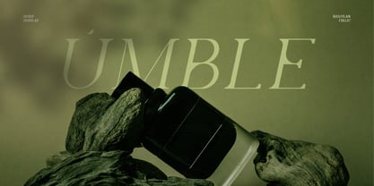 Levelly Font Poster 4