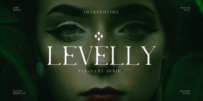 Levelly Font Poster 1
