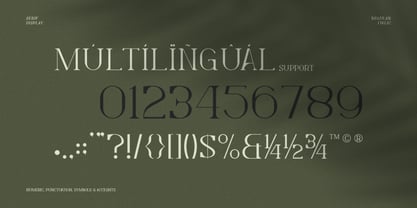 Levelly Font Poster 9