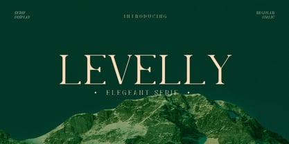 Levelly Font Poster 6