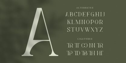 Levelly Font Poster 7