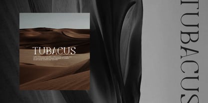 Levelly Font Poster 2