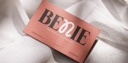 Vansie Font Poster 12