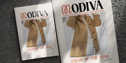 Vansie Font Poster 5