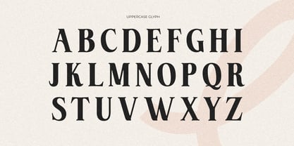 Vansie Font Poster 3