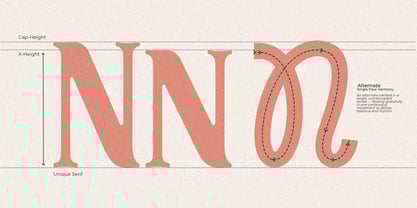 Vansie Font Poster 8