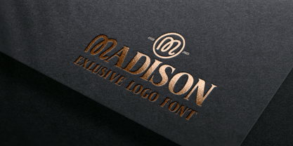 Vansie Font Poster 9