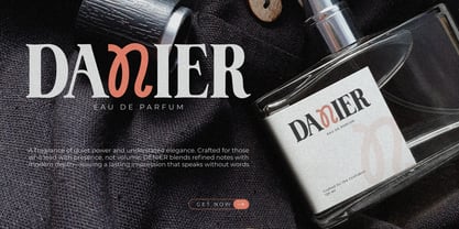 Vansie Font Poster 7