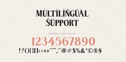 Vansie Font Poster 11