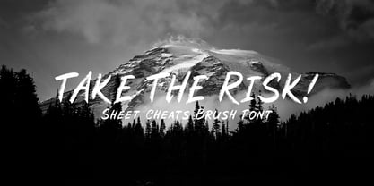 Sheets Cheats Brush Font Poster 2