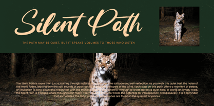 Routine Oldnight Font Poster 7