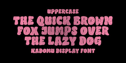 Kadomu Display Font Poster 9