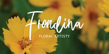 Delight Party Brush Font Poster 3