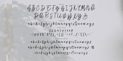 Delight Party Brush Font Poster 10