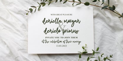 Delight Party Brush Font Poster 8