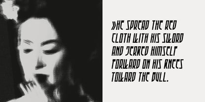 Ferra Font Poster 12