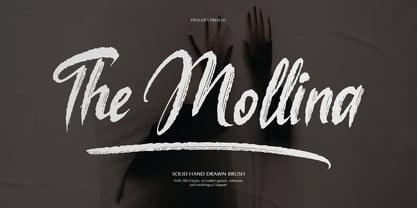 The Mollina Font Poster 1